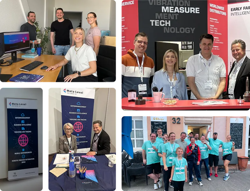 Team Meta-Level Software AG